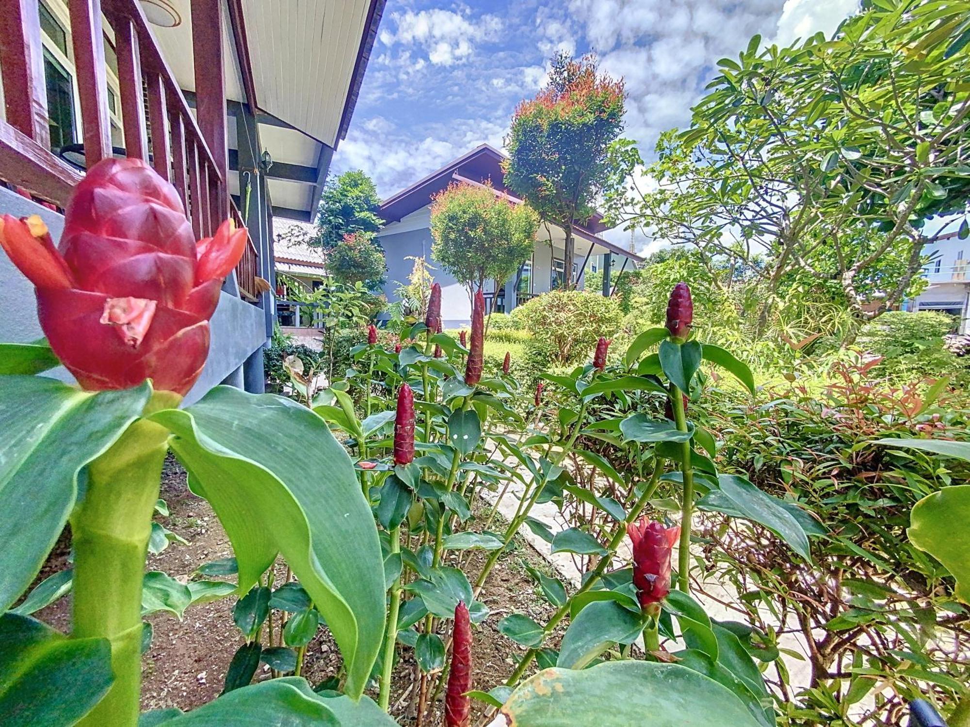 Sunanta Bungalow Ko Lanta Eksteriør bilde
